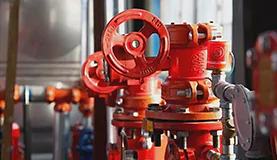 DELCO Valve