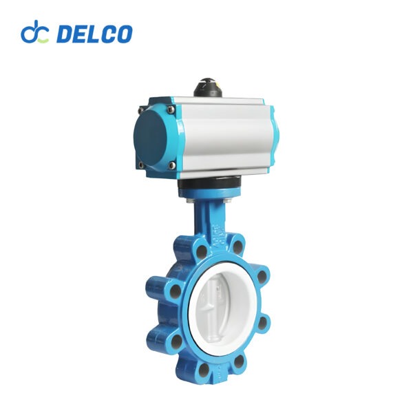 Type Butterfly Valve