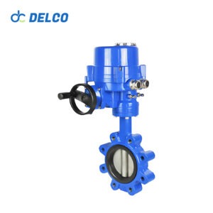 Explosion proof Lug Valve